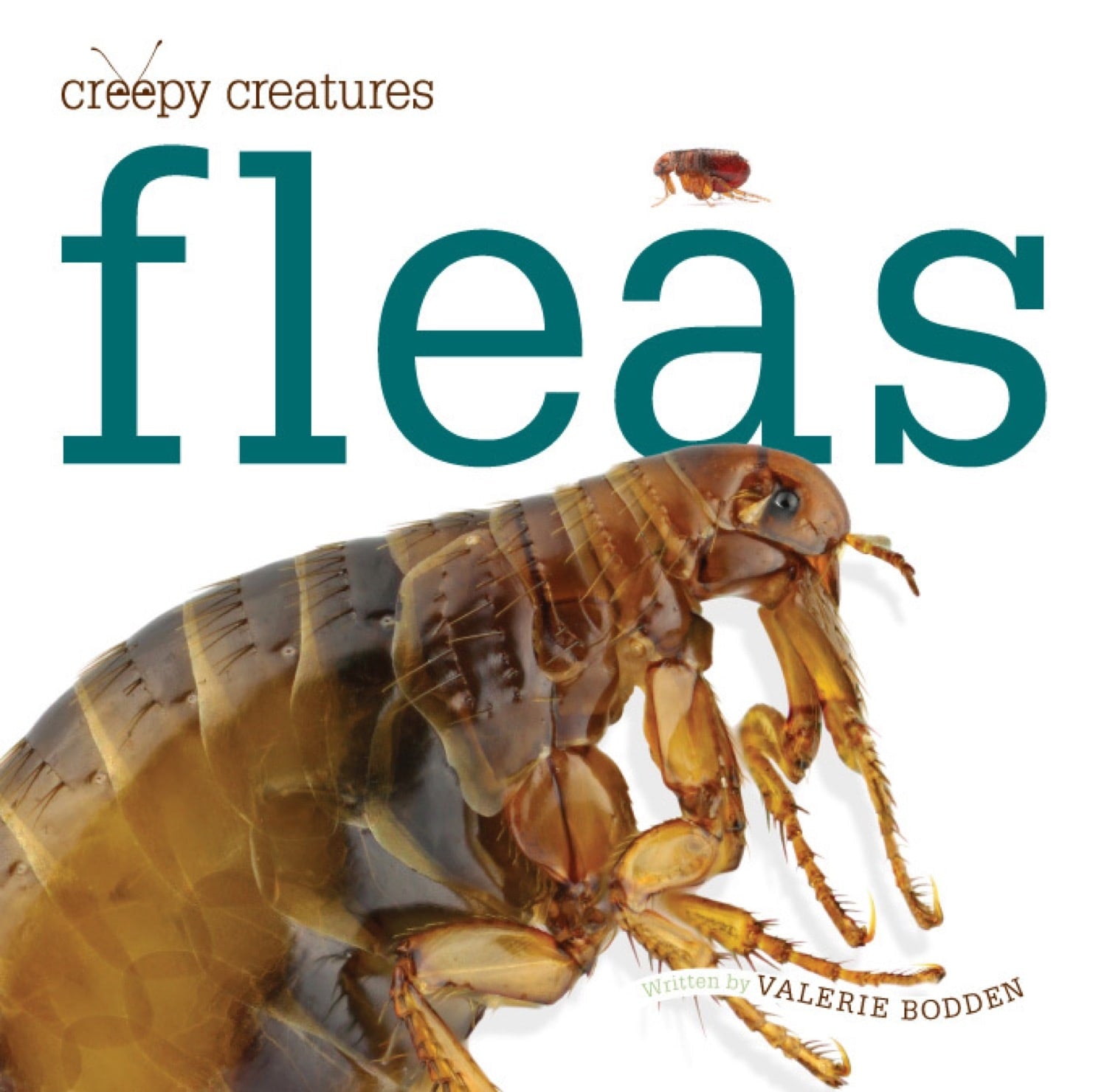 Effective Flea Treatment for Dogs & Cats | Fast-Acting Flea Control Solution | Home & Pet Use