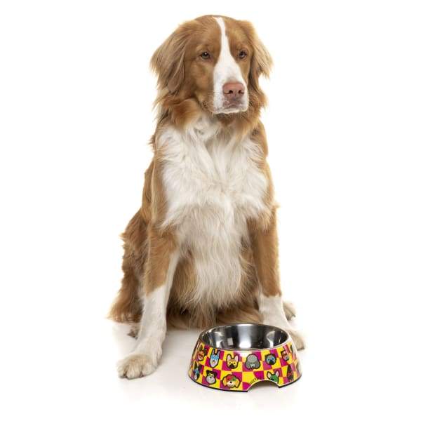 Fuzzyard Doggoforce Easy Feeder Slow Eating Dog Bowl - Non-Slip Pet Food Dish for Small Medium Large Dogs - Perfect for Fast Eaters & Mealtime Training