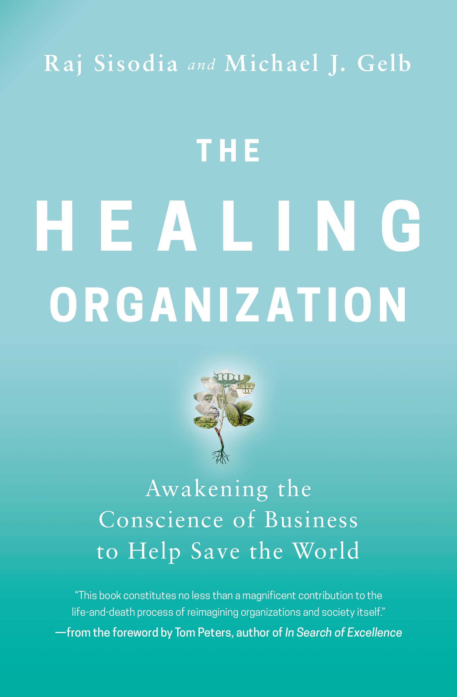 The Healing Organization: Awakening Business Conscience to Save the World | Inspiring Corporate Social Responsibility & Sustainable Business Practices for Leaders