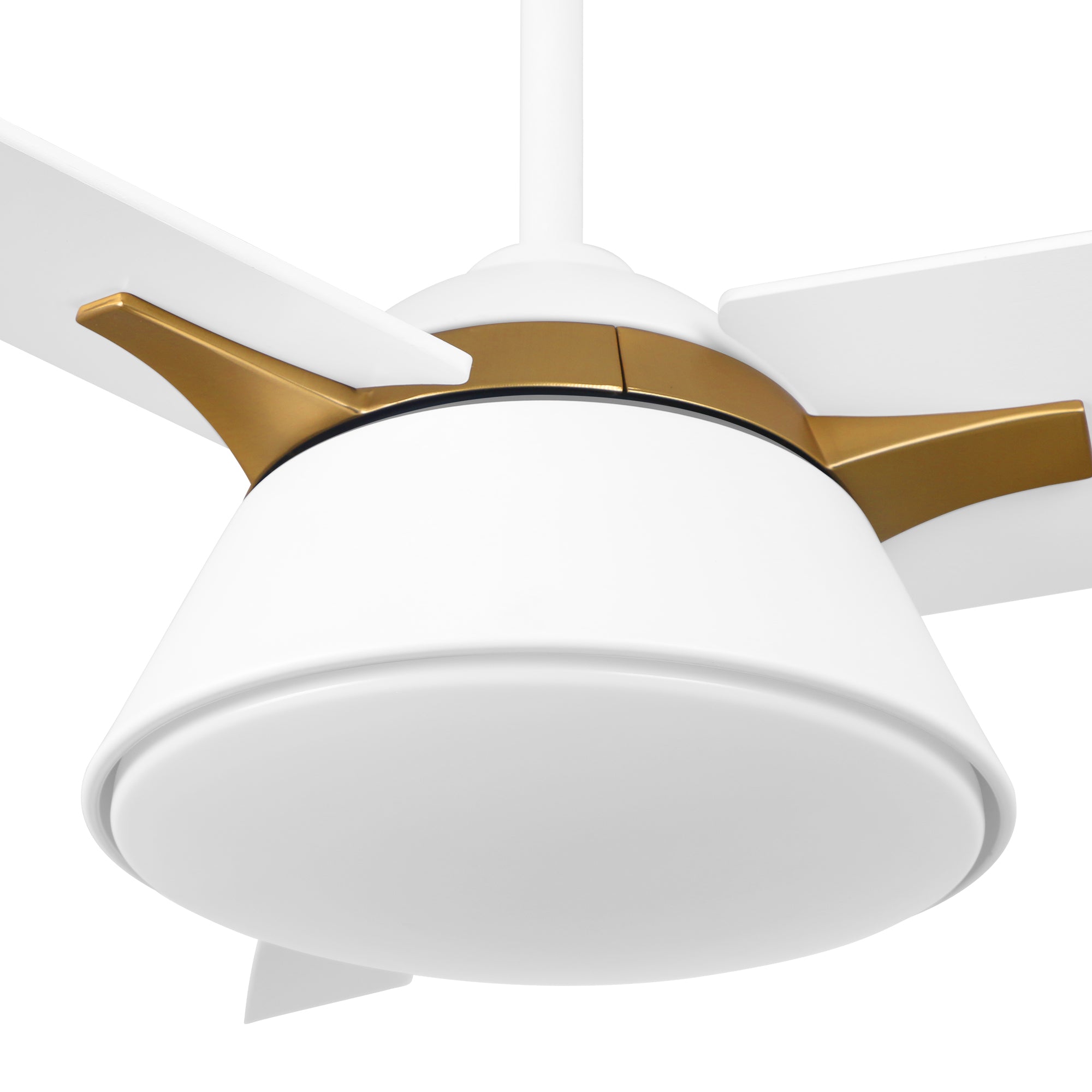 Lismore 48 Inch LED Ceiling Fan with Remote Control - Quiet Energy Efficient Indoor/Outdoor Use for Bedroom, Living Room, Patio