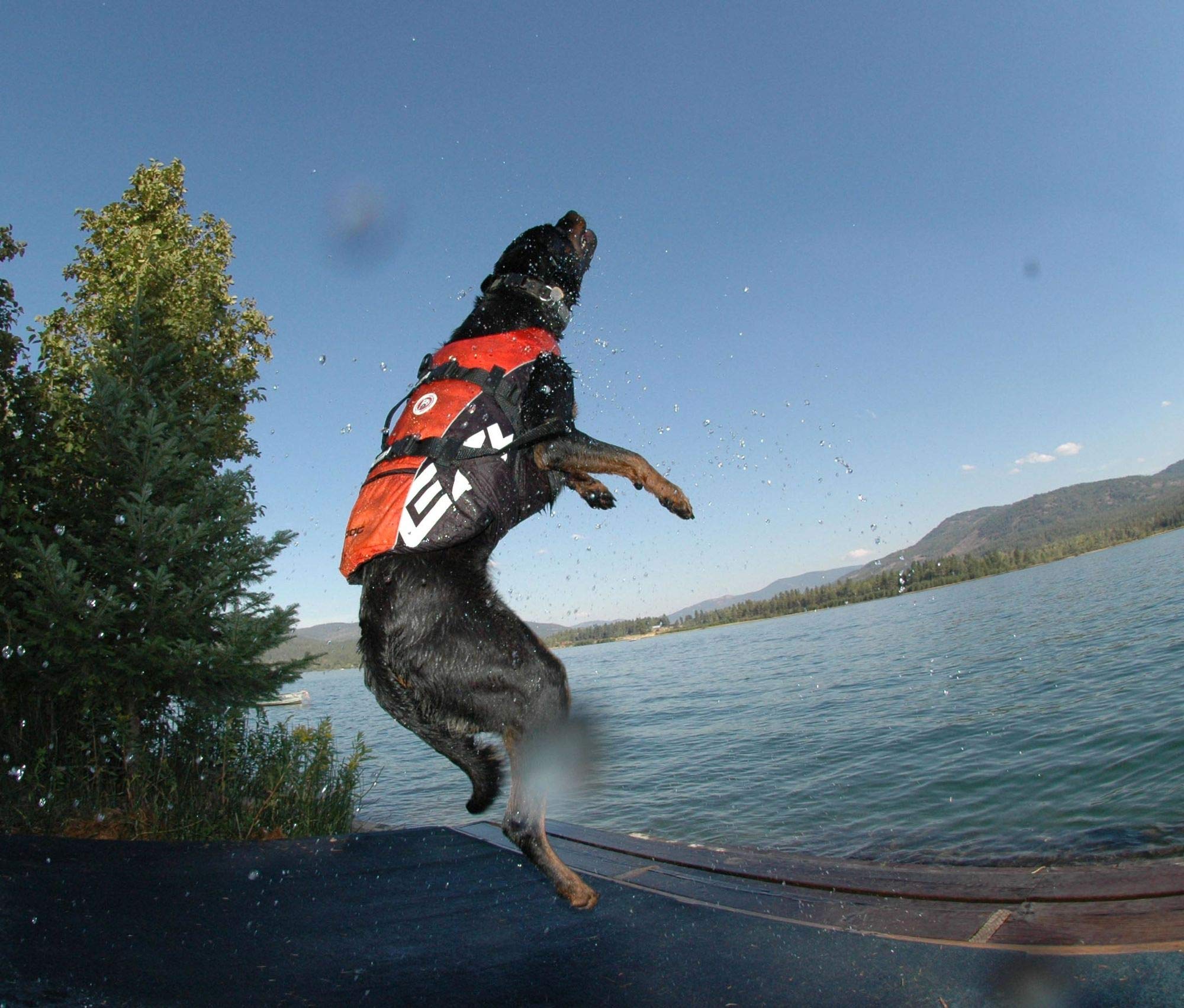 EZYDOG DFD Dog Life Jackets - High Buoyancy Pet Safety Vest for Boating, Paddle Boarding & Swimming | Small, Medium, XL Sizes | Yellow Puppy Life Jacket for Water Adventures & Outdoor Activities