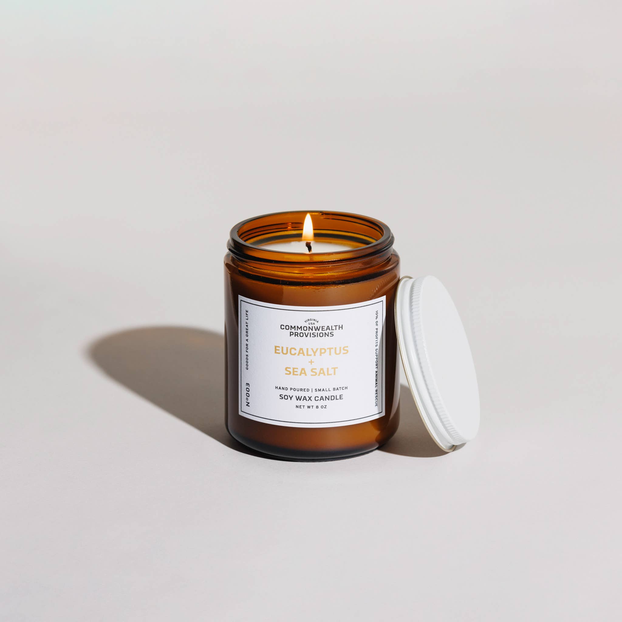 Eucalyptus & Sea Salt Soy Candle - Aromatherapy Scented Candle for Relaxation, Stress Relief & Home Decor | Perfect for Bedroom, Bathroom, Yoga & Meditation Spaces