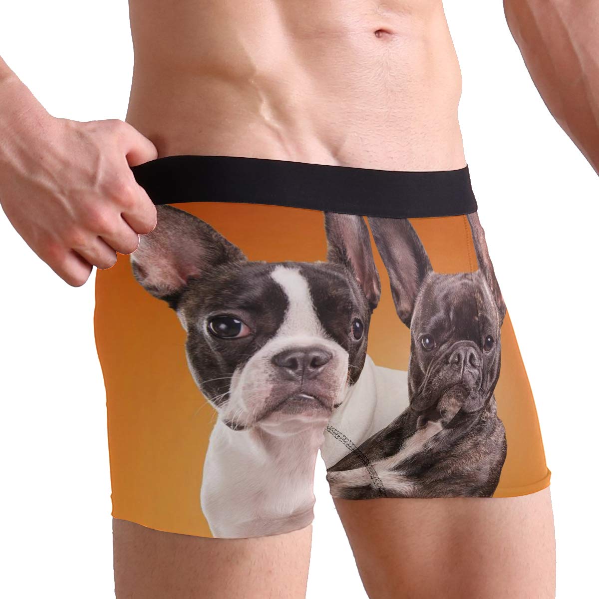 Funny French Bulldog Boxer Briefs for Men - Soft Cotton Underwear with Comfortable Waistband - Perfect for Casual Wear, Gym, and Everyday Use