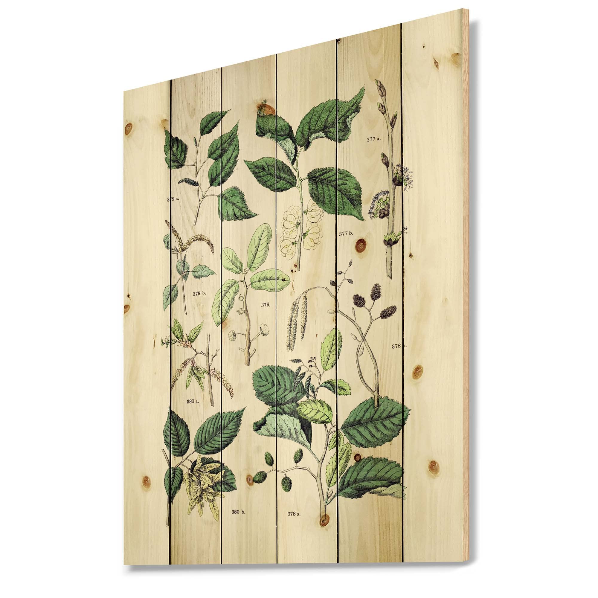 DesignQ Vintage Botanicals VIII Traditional Wood Wall Decor - Large Floral Pine Wood Art Panel, Green Botanical Wall Art for Living Room, Bedroom & Office Decor