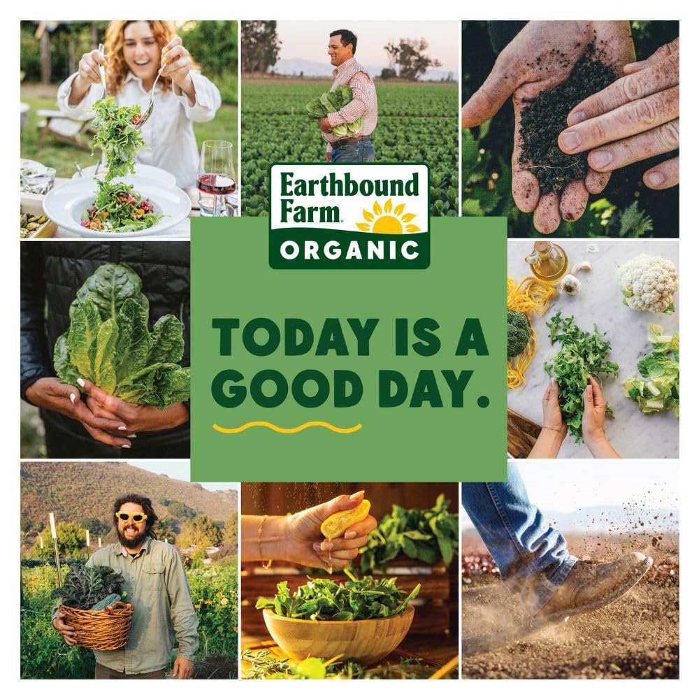 Organic Power Greens by EARTHBOUND FARM - 16 oz | Nutrient-Rich Superfood Blend for Smoothies, Salads & Healthy Meals | USDA Certified Organic Leafy Greens
