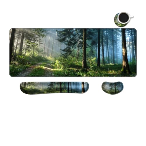 Forest in the Morning