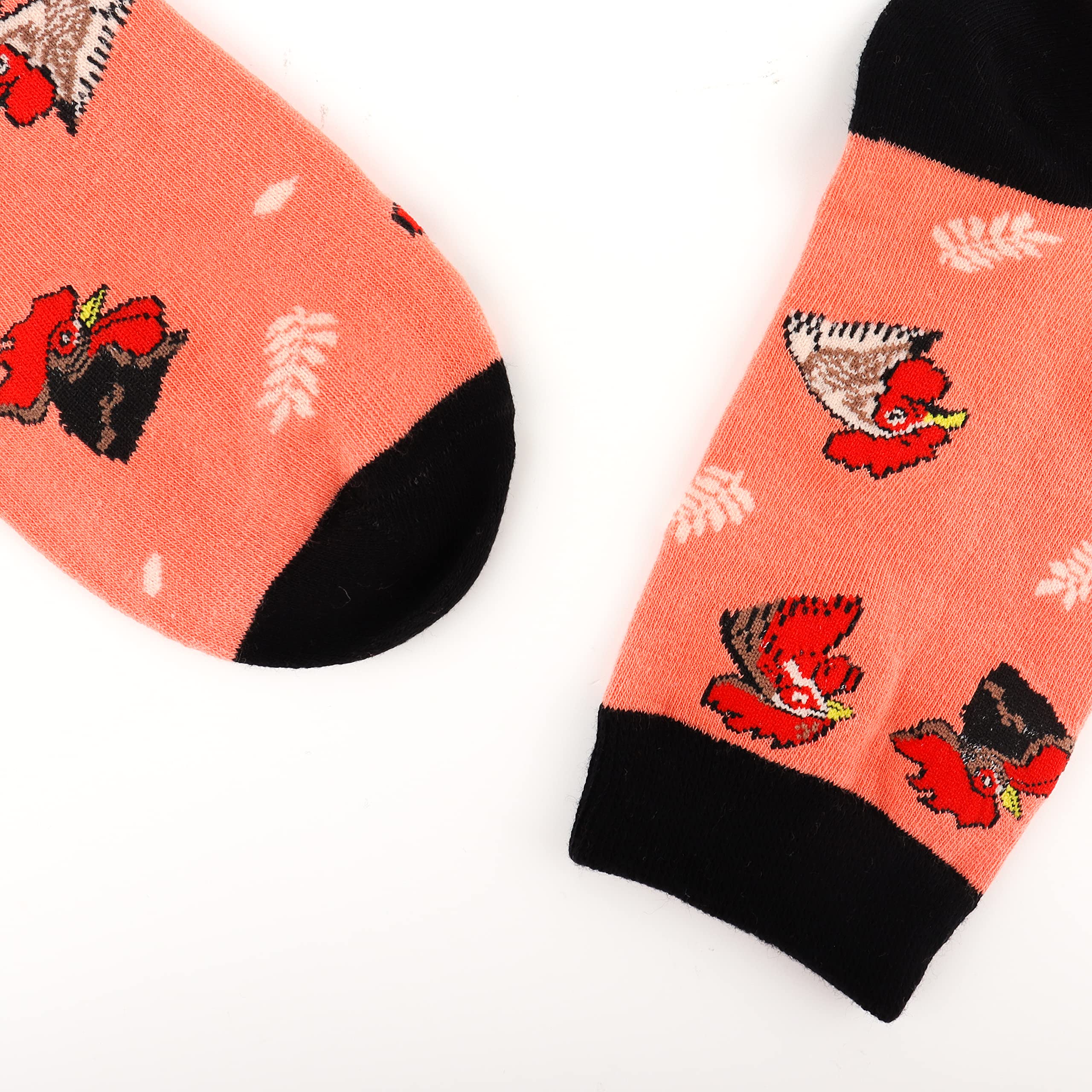 Funny Cute Socks for Women - 5 Pairs Pack | Moyel Women's Novelty Socks | Perfect Gift for Her | Great for Casual Wear, Gifts & Special Occasions