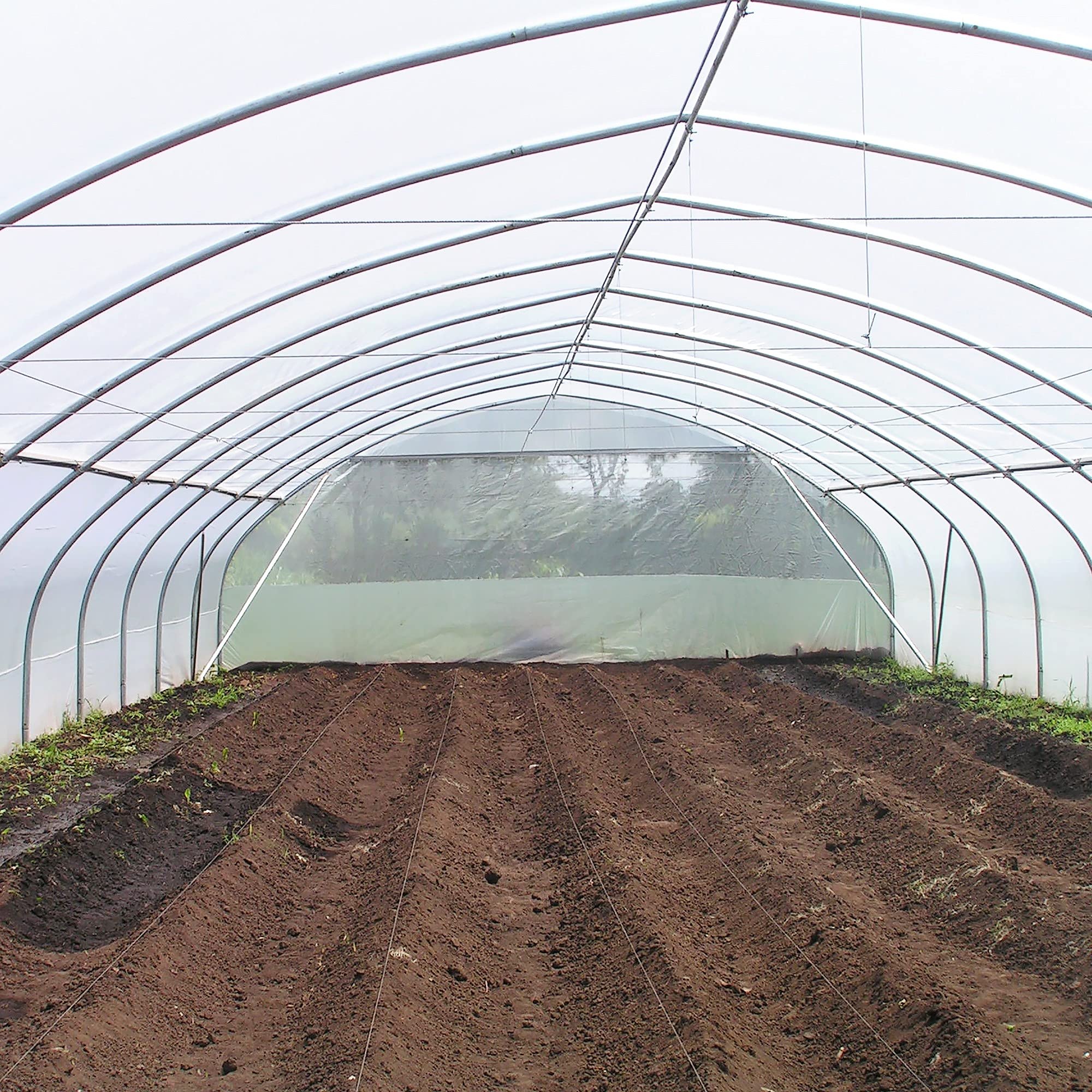 32 ft x 50 ft Clear Greenhouse Plastic Sheeting - 6 Mil Thick UV Resistant Polyethylene Film for Plants | Durable 4-Year Protection for Gardening, Hydroponics & Commercial Greenhouses