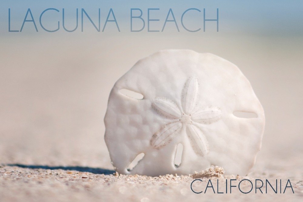 Laguna Beach California Sand Dollar & Beach 57020 - Signed 24x36 Art Print Wall Decor Poster | Coastal Home Decor, Beach House Wall Art, Ocean Themed Living Room Decor