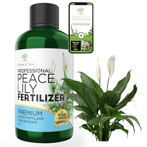 Peace Lily