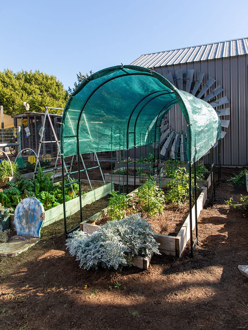 Extra Tall Garden Hoops for Plant Cover - Powder Coated Metal Greenhouse Frame for Vegetable Gardens (Set of 3 Hoops & 36 Clips) | Durable Protection for Raised Beds, Row Covers & Season Extension