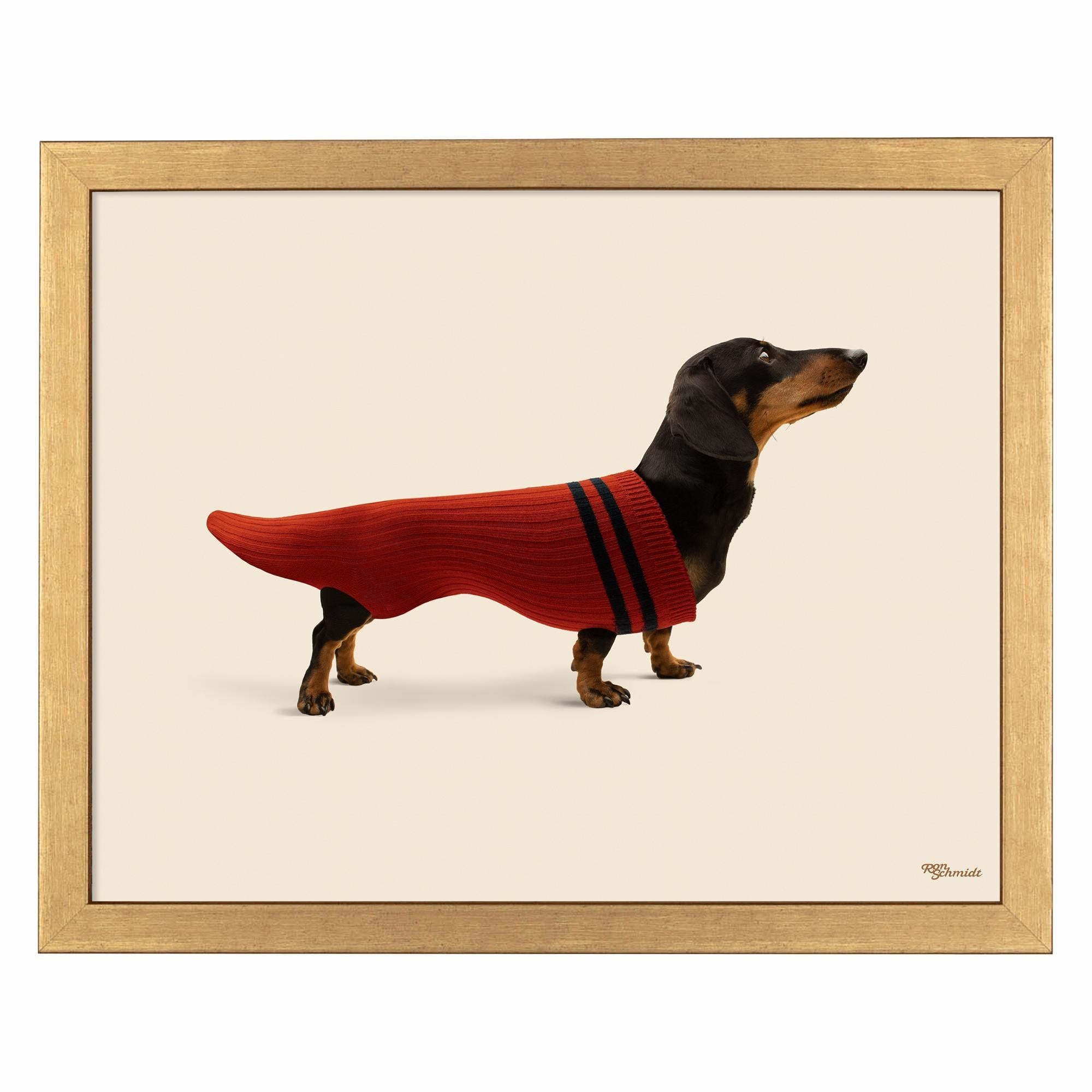 Dox in Sox Art Prints - Whimsical Dog Socks Wall Decor for Living Room, Nursery & Office | Unique Animal Illustration Artwork