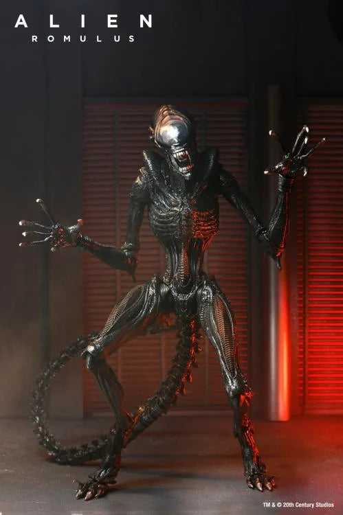 NECA Ultimate Scorched Alien Xenomorph Action Figure - Alien: Romulus Movie Collectible for Display & Gifts