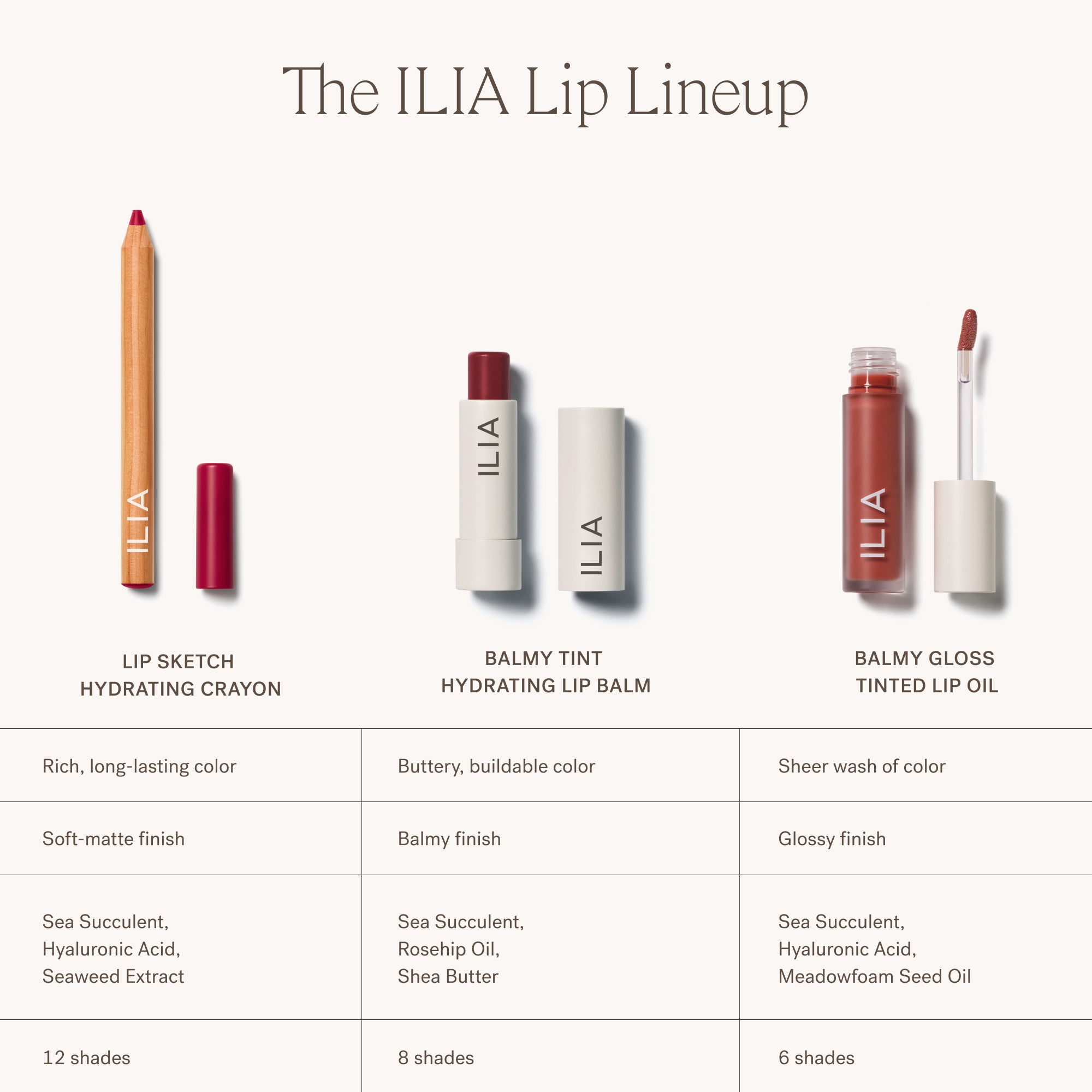 Hydrating Lip Crayon - Long Lasting Moisturizing Lipstick for Dry Lips | Perfect for Everyday Wear, Date Night & Special Occasions