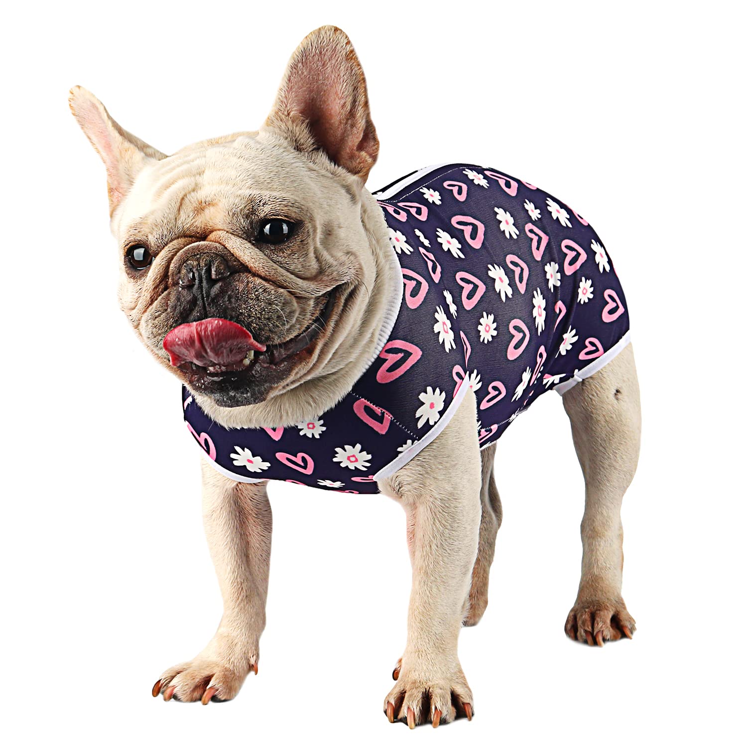 **Etdane Dog Recovery Suit for Surgery - Post-Spay/Neuter Onesie for Small & Medium Dogs with Pee Hole (Love/Flower/Small) - Comfortable Pet Surgical Wear for Healing & Protection**    *(Ideal for Post-Op Care, Wound Protection, and Stress-Free Recovery After Vet Procedures)*