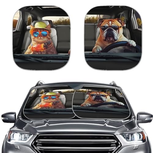 Cat Dog Driver