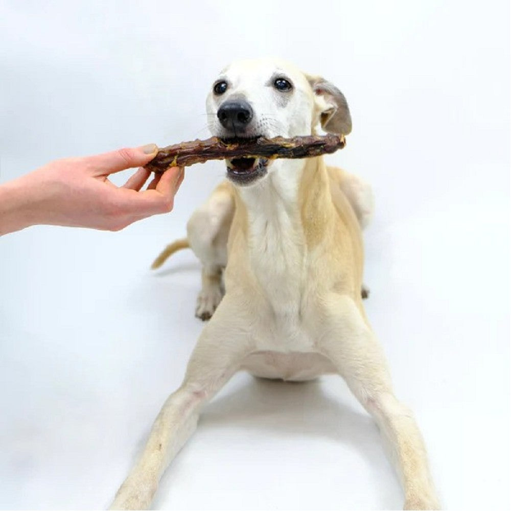Premium Duck Neck Dog Treats - All-Natural, Grain-Free Chews for Dogs - High-Protein Dental Snacks for Puppies & Adult Dogs - Perfect for Training, Teething & Oral Health Care