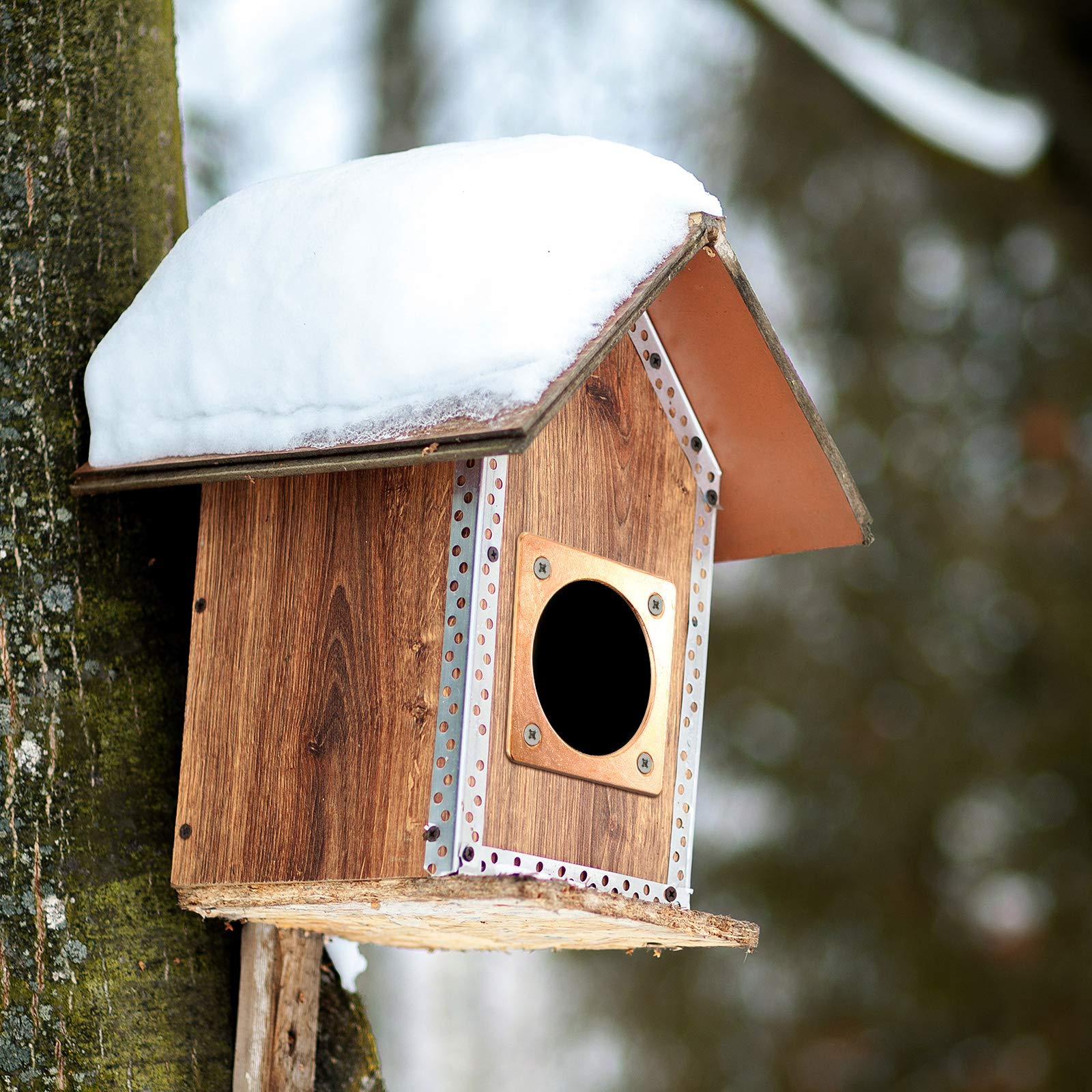 Copper Metal Portal Bird House Guard - 1.5 Inch Opening for Eastern Bluebird Houses - Durable Weatherproof Entry Protector for Bird Nesting Boxes (Perfect for Backyard Birdwatching & Garden Decor)
