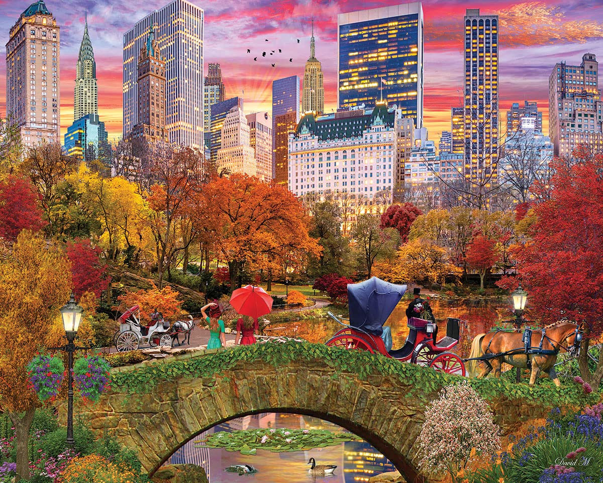 New York Central Park 1000-Piece Jigsaw Puzzle for Adults & Teens