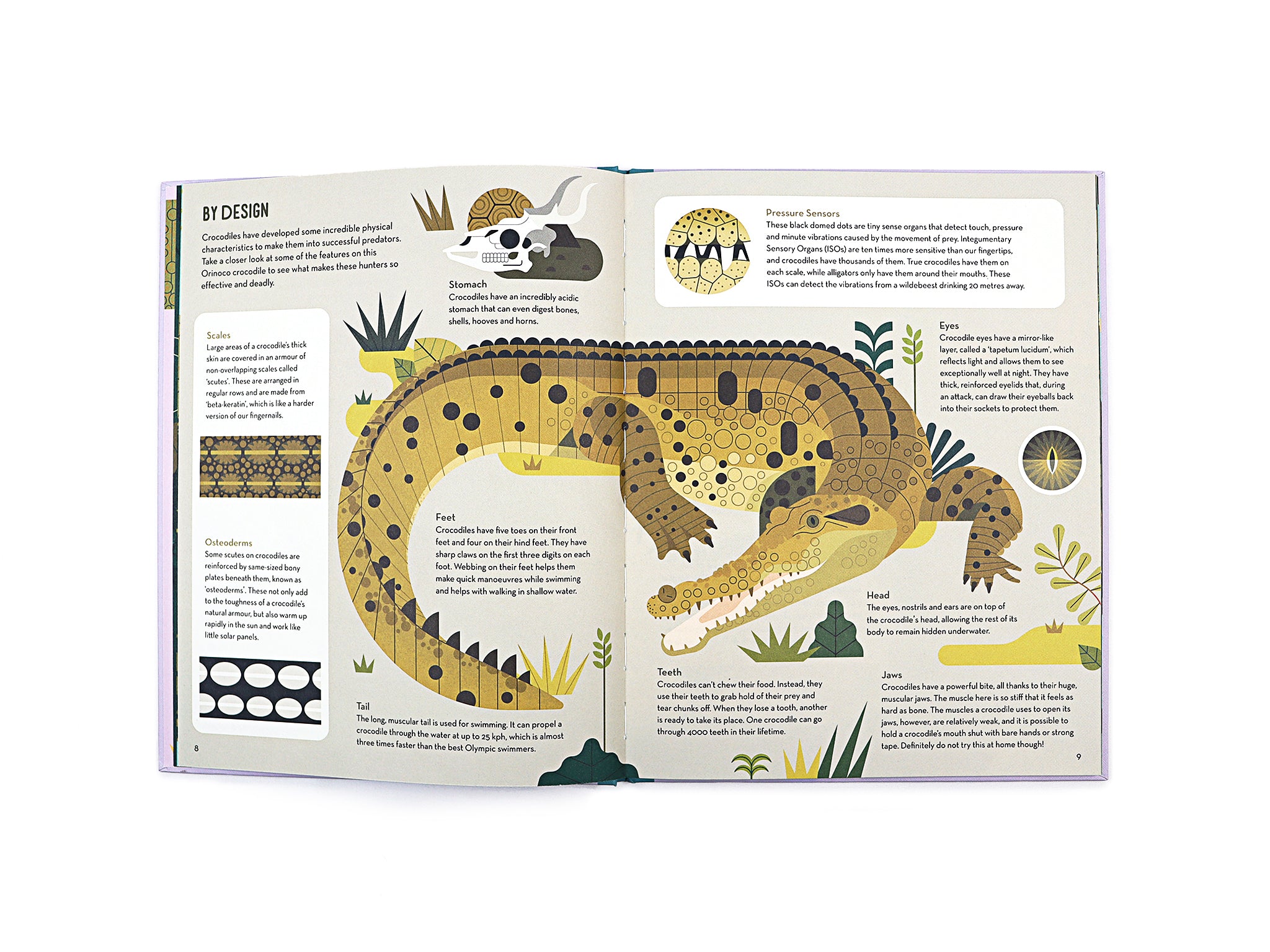 Curious About Crocodiles: Illustrated Animal Book for Kids by Owen Davey - Perfect for Bedtime Stories & Wildlife Education
