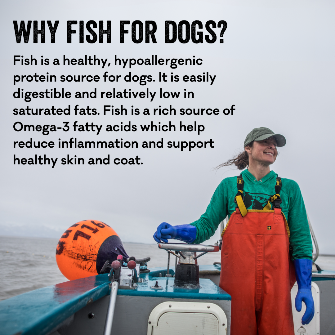 Polkadog Cod Skins - Natural Dog Chews for Dental Health - Perfect for Training, Teething & Long-Lasting Treats