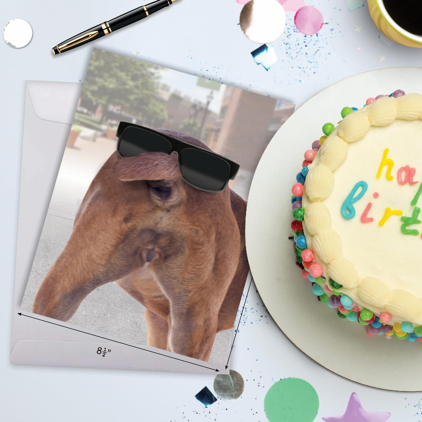 Funny Jumbo Birthday Card (8.5 x 11 Inch) - Cute Animal Humor Greeting Card for Birthdays - Dog Face Design J2574BDG - Perfect for Friends, Family & Coworkers Birthday Celebrations