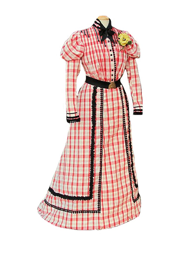 Victorian Pink Plaid Dress for Women - 1890s Medieval Renaissance Costume, Gothic Maiden Outfit for Cosplay, Halloween & Historical Reenactment