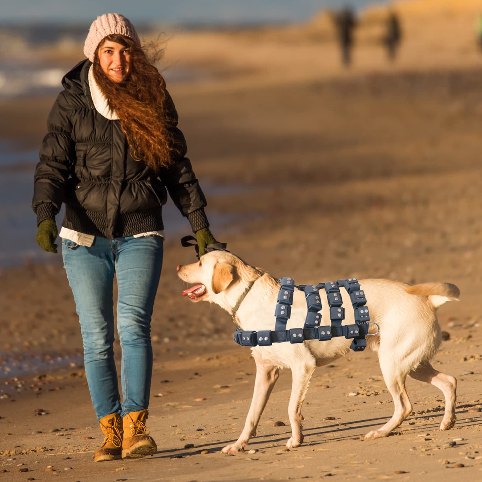 **No-Pull Dog Harness for Small, Medium & Large Dogs – Adjustable Weighted Vest for Pit Bulls & Strong Breeds – Tactical Harness with Pockets – Ideal for Weight Loss, Exercise, Walking & Muscle Training – Perfect for Outdoor Adventures & Daily Walks**