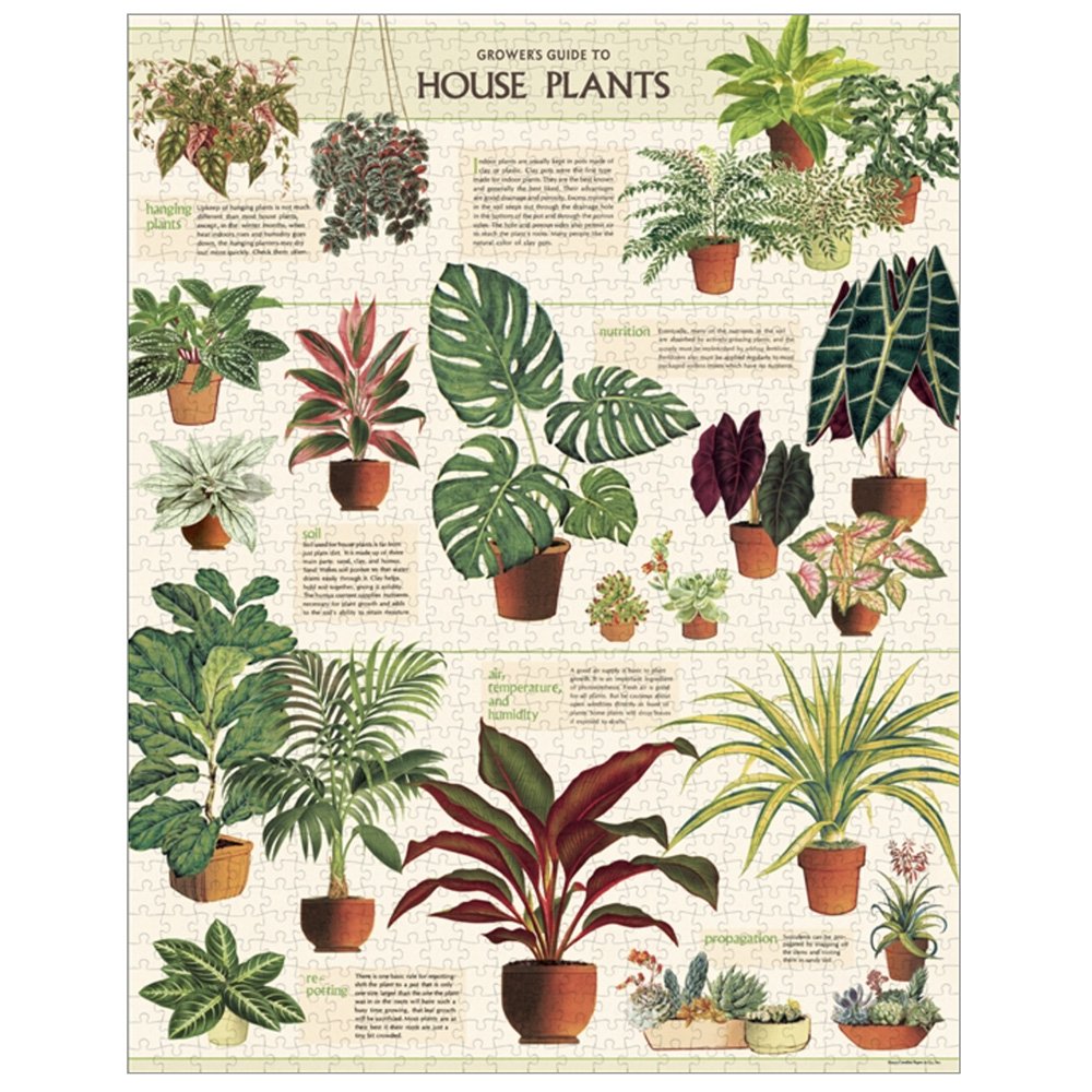 1000 Piece House Plants Jigsaw Puzzle - Beautiful Indoor Plant Theme for Relaxation & Home Decor
