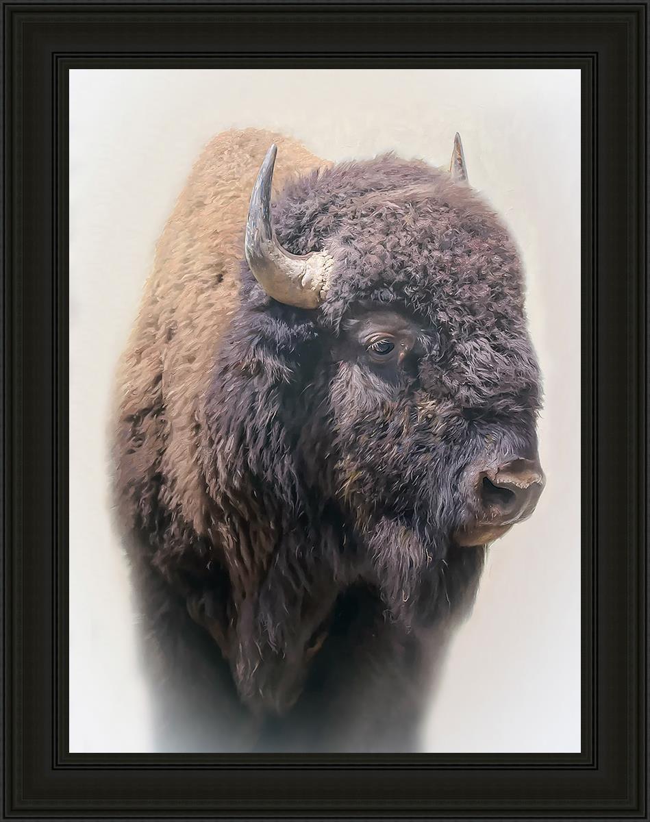 Bison By Matthew Grant | Premium Bison Meat & Jerky | High-Protein Snacks for Camping, Hiking & Outdoor Adventures