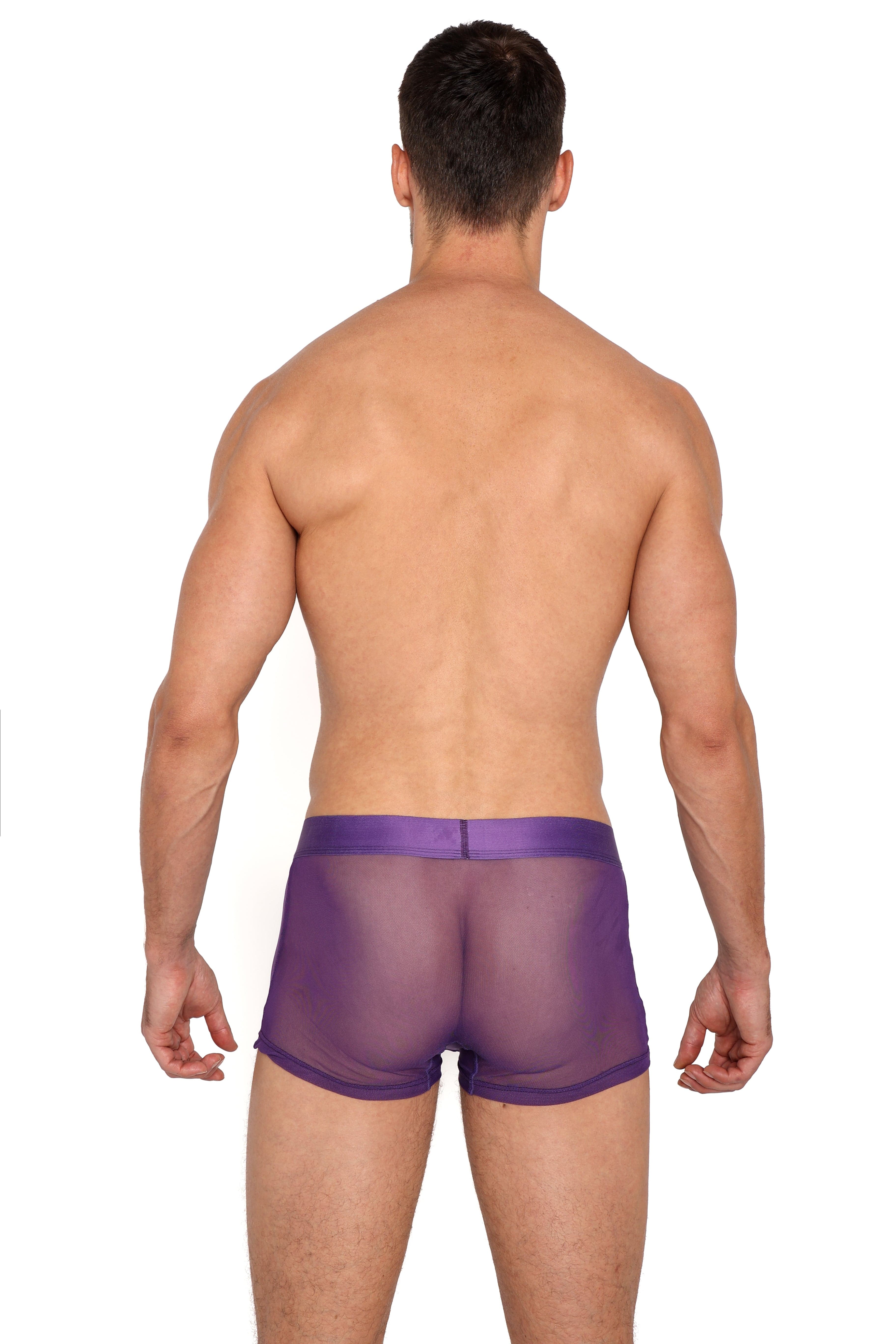 Just The Bones Sheer Trunk Purple - Comfortable & Stylish Women's Underwear for Everyday Wear, Sleep & Lounge