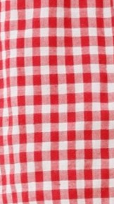 Amalfi Women's Gingham Mango Print Top and Shorts Set - Summer Beach Outfit, Vacation Wear, Casual Lounge Set