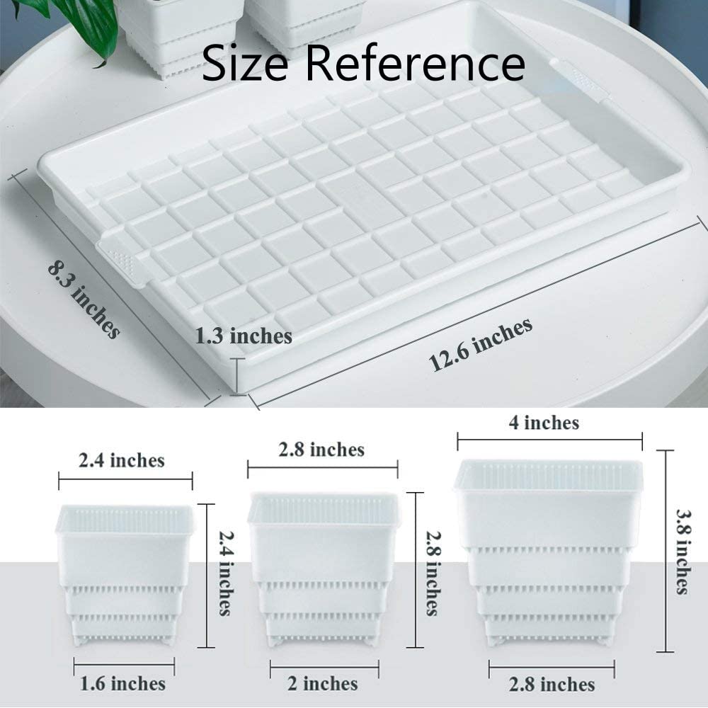 12Pcs 2.8 Inch Succulent Pots with Drainage Holes & 14x9.4 Inch Tray - Plastic Square Planters for Cactus, Seedlings, Herbs - Perfect for Indoor Gardening, Windowsill Decor, Office Desk Plants