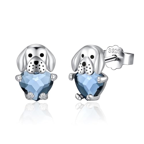 E05-Blue crystal-Labrador Retriever stud