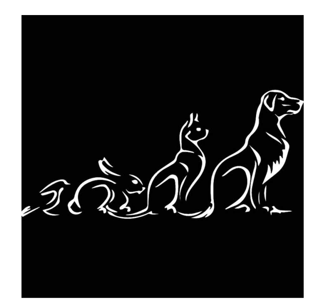 Funny Car Stickers and Decals - 19.3x8.8cm Vinyl Pet Decals for Cars (Cat, Dog, Rabbit) - Black/Silver Animal Pattern Decals - Perfect for Car Windows, Laptops, and Water Bottles