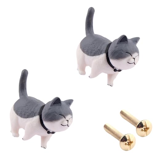 gray cat