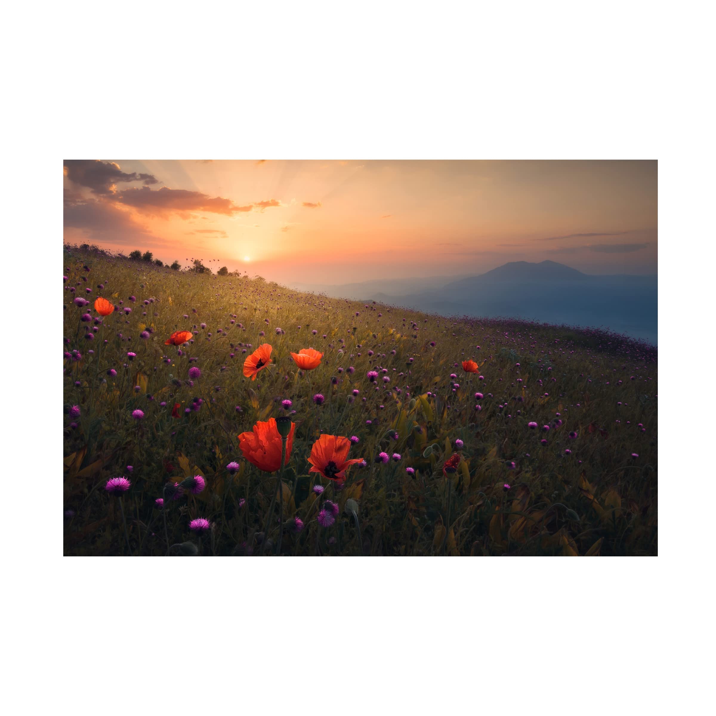 Trademark Fine Art 'Rudbar Heights In Spring' Canvas Wall Art Print by Majid Behzad - Persian Landscape Painting for Living Room, Bedroom & Office Decor