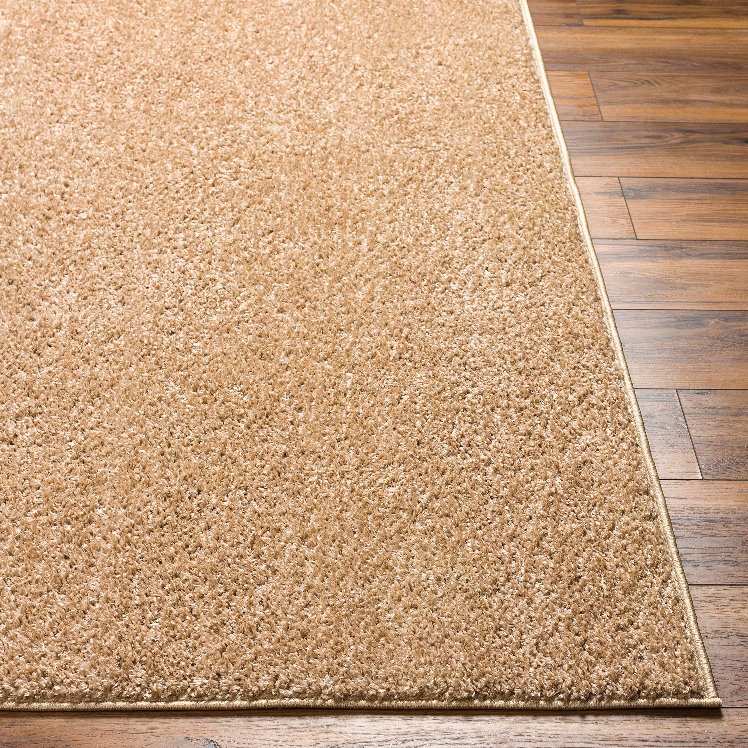 Judy Machine Washable Solid Shag Rug - Soft Fluffy High Pile Area Carpet for Living Room & Bedroom - Blush & Brown - 5'3