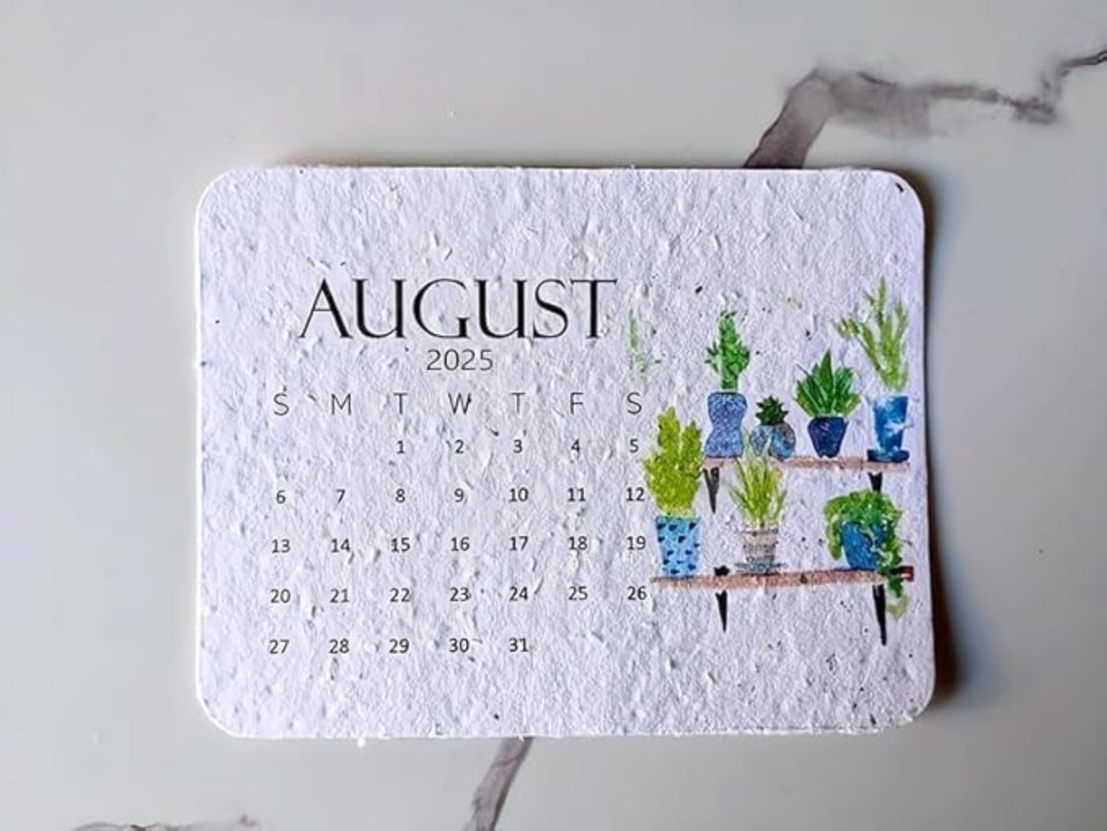 2025 Plantable Seed Calendar - Eco-Friendly Greenery Planner with Growable Herbs & Flowers | January to December Monthly Organizer | Perfect for Home Office, Kitchen & Sustainable Gardening Gifts