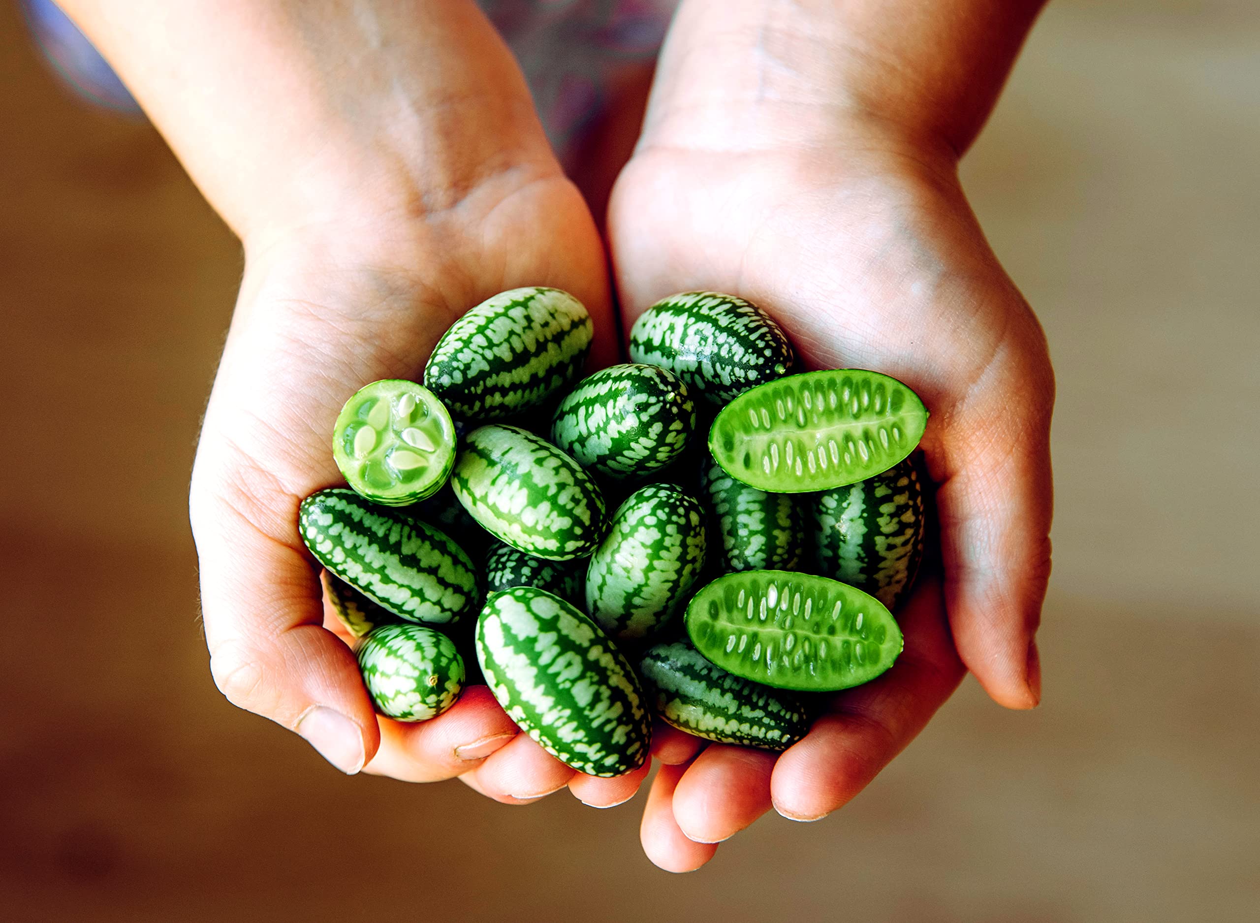 Organic Mouse Melon Seeds (20 Count) - Grow Exotic Cucamelon Fruits | Rare Mexican Sour Gherkin for Home Gardens, Salads & Pickling | Non-GMO Heirloom Seeds for Indoor & Outdoor Planting
