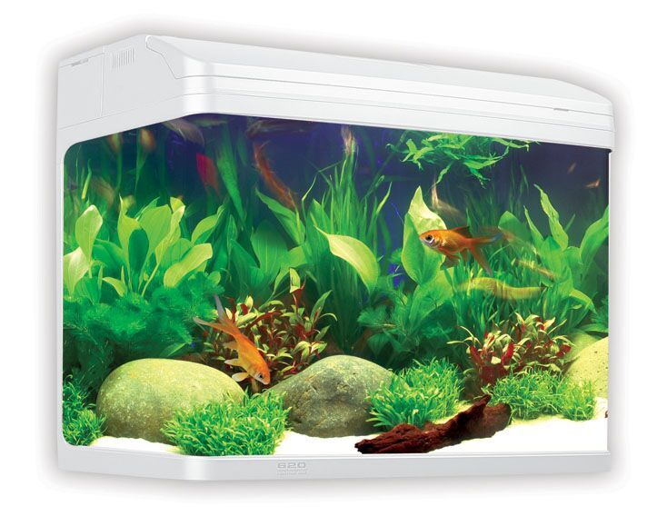 Aqua One AR620 Aquastyle 90L White Aquarium Tank - Perfect for Home, Office & Fishkeeping Enthusiasts