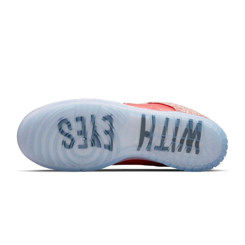 Nike Dunk SB Low Stingwater 