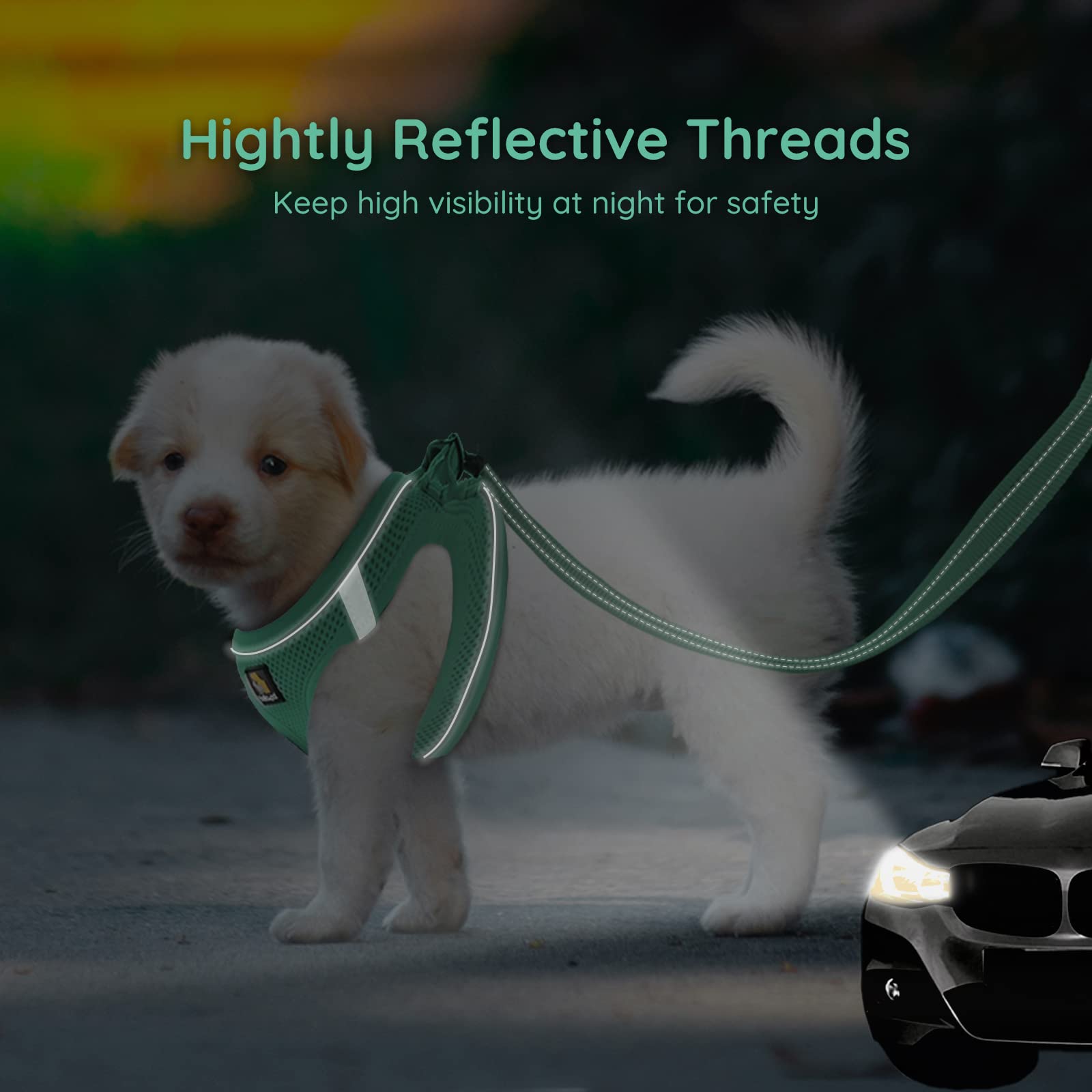 BELLA & PAL No-Pull Step-in Dog Harness with Leash Set for Small & Extra Small Dogs - Adjustable Soft Comfort Pet Vest, Reflective Green Puppy Harness - Perfect for Walking, Training & Outdoor Adventures
