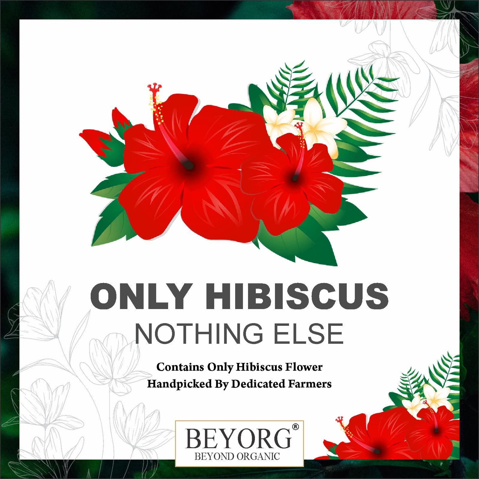 Organic Hibiscus Powder & Licorice Root Powder for Skin Brightening - Natural Skin Whitening, Body & Hair Care - DIY Face Masks, Hair Treatments & Glow Recipes