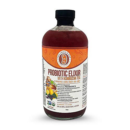 Organic Elderberry Syrup with Zinc, Honey, Ginger & Lemon - Immune Support Supplement - This Chick Is Raw - 1 Gallon (4 x 32oz) - Great for Cold & Flu Season, Daily Wellness & Natural Immunity Boost