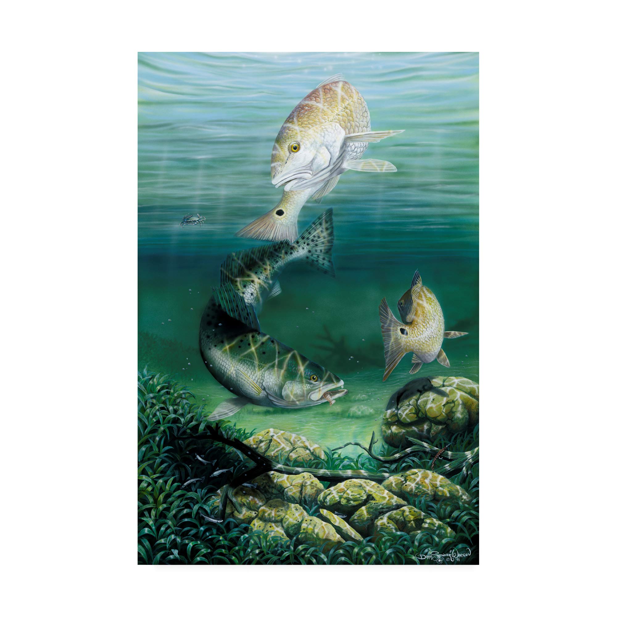 Trademark Fine Art 'Competition Among Friends' by Dann Spider Warren - 30x47 Inches Canvas Print - Perfect for Living Room, Office & Art Gallery Decor