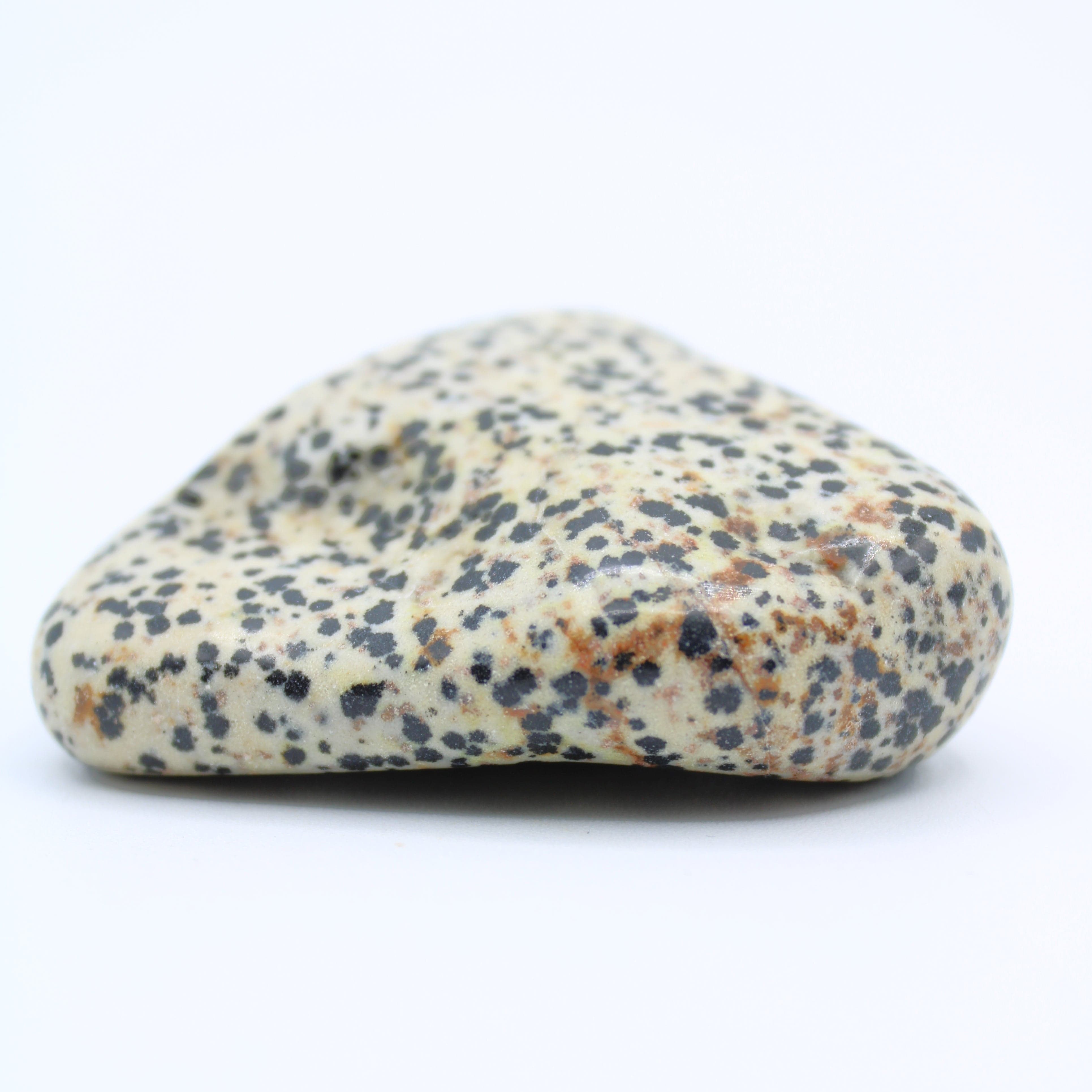 Natural Dalmatian Jasper Free Form Stone - Healing Crystal for Meditation, Home Decor & Spiritual Gifts | Perfect for Yoga, Reiki & Positive Energy