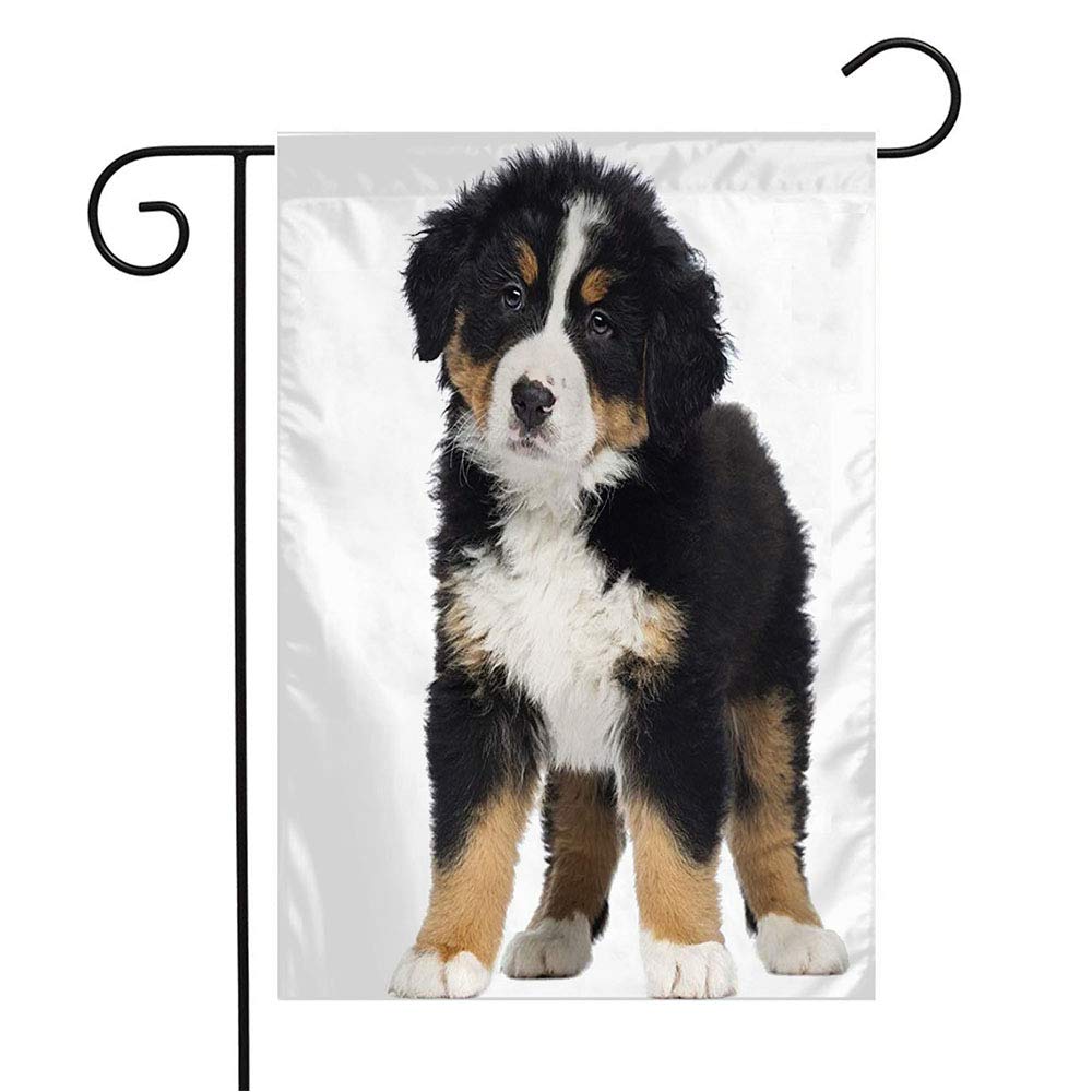 Bernese Mountain Dog Garden Flag - Brown Puppy Seasonal Decor for Patio, Lawn & Outdoor Home - 12x18 Inch - Perfect for Dog Lovers & Wildlife Enthusiasts