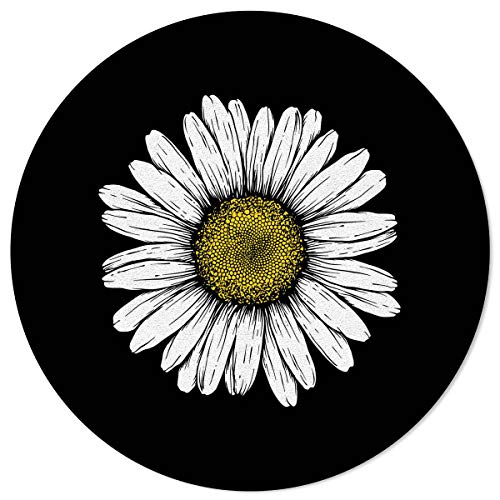 Daisysan2160
