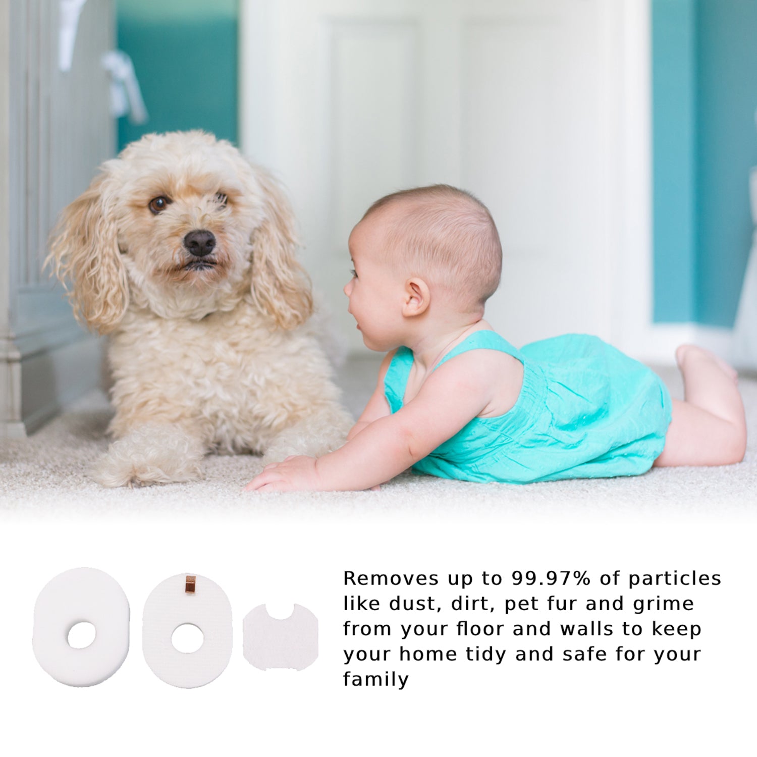 MaximalPower Replacement Foam & Felt Filter Kit (Part No. XFFV300) for Shark Rocket Ultra Light Vacuum - Compatible with HV300, HV302, HV320 Models - Extends Vacuum Life & Improves Suction - Perfect for Pet Hair, Dust & Allergen Removal
